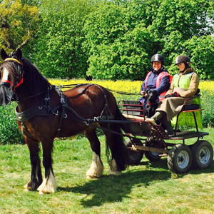 Grimsthorpe 2016 04