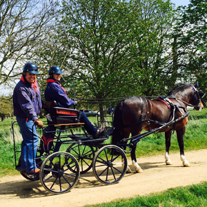 Grimsthorpe 2016 08