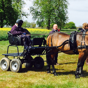 Grimsthorpe 2016 11