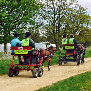 Grimsthorpe 2016 12