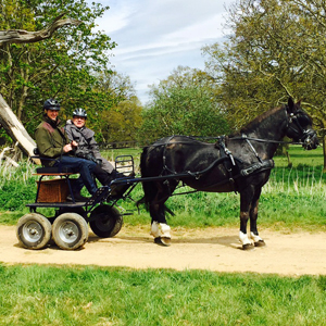 Grimsthorpe 2016 13