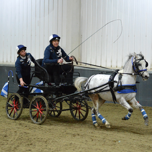 2015 - Indoor Championships