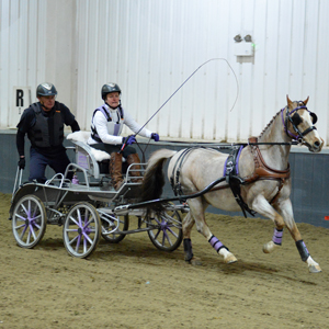 Indoor Carriage Driving Championships 2015