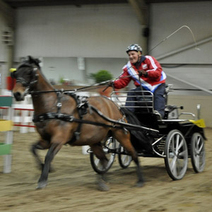 April 2012 - Indoor Carriage Driving Championship