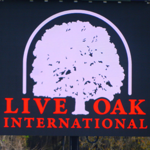 Live Oak 21