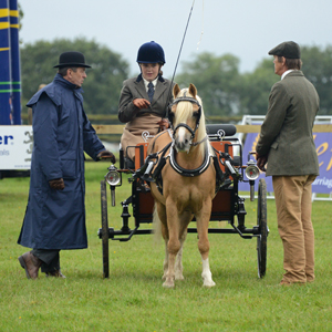 National Champs 2013 26