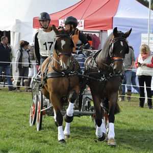 2014 - Osberton Arena Challange