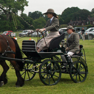 2011 - Sandringham BHDTA Event