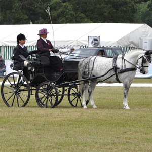 Sandringham 2014 010