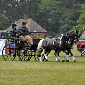 Sandringham 2014 029