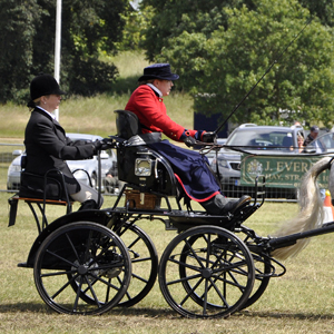 Sandringham 2014 034