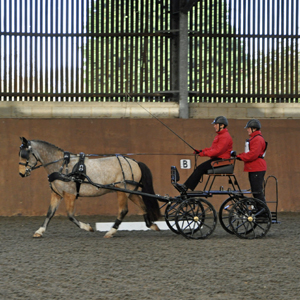 November 2014 - Shuttleworth Indoor Carriage Driving