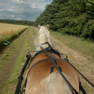 Trail Register