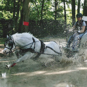 Bennington Spirit flying in France