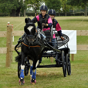 2010 National Carriage Driving Championships