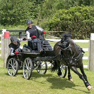 Carriage Driving - February 2015