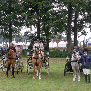 FEI World Para - Equestrian Driving Championships