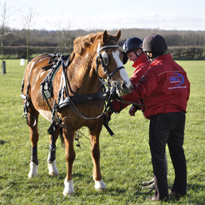 In Harness - February 2014