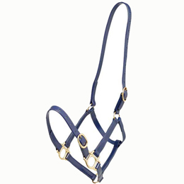 19mm PN Headstall - available in 4 colours