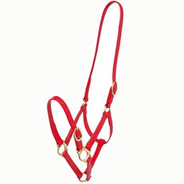 19mm PN Headstall - Red