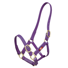 25mm PN Headstall - available in 11 colours