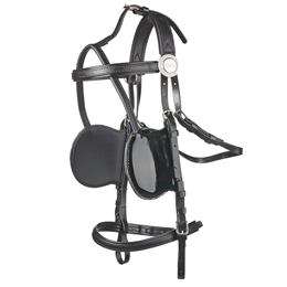 Complete - Fine Patent Bridle