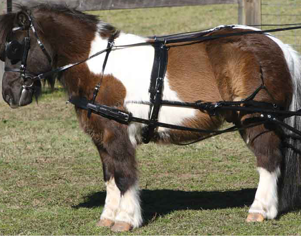 Crupper with Backstrap Zilco SL Mini Driving Harness Small Pony Shetland 