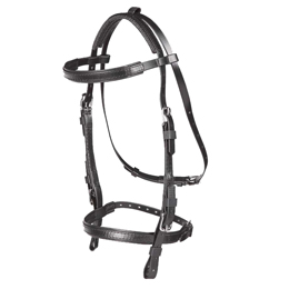 SL Open Bridle