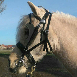 Shetland / Small Pony Underhalter 