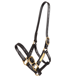 Deluxe PN Halter