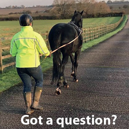 In Harness - April 2020
