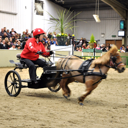 Mini Magnum 125cm indoor track width 