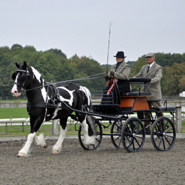 Bennington Overlander with solid tyres