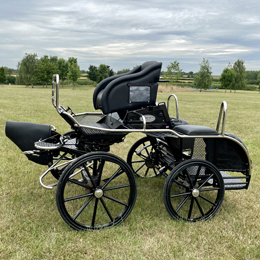 Bennington Pony Team Carriage (Ref.621)