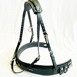 Sale - ZGB/Elite Breastplate - Full