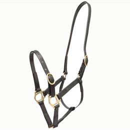 19mm PN Headstall - Black