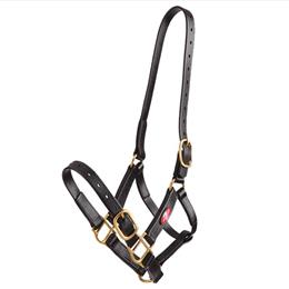 25mm PN Headstall - Black