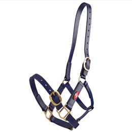 25mm PN Headstall - Blue