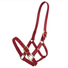 25mm PN Headstall - Burgundy