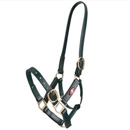 25mm PN Headstall - Green
