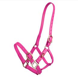 25mm PN Headstall - Pink