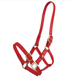 25mm PN Headstall - Red