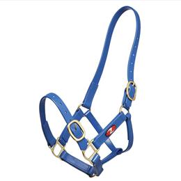 25mm PN Headstall - Royal