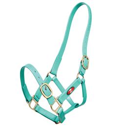 25mm PN Headstall - Turquoise
