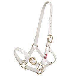 25mm PN Headstall - White