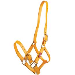 25mm PN Headstall - Yellow